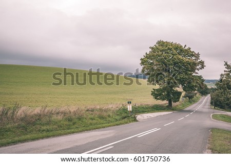 country road in perspective in summer forest with trees and grass