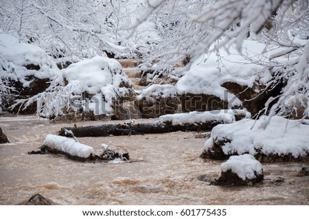 landscape mountain river in winter forest