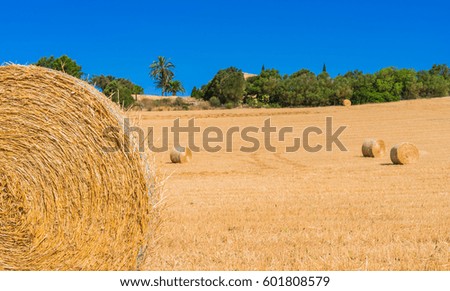 Straw bales on field on a sunny summer day.