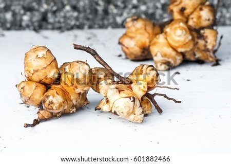 Very healthy and delicious raw topinambur fruit (called Jewish or Jerusalem artichoke, too) on white background with stone wall