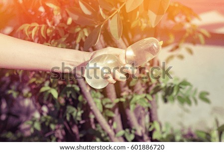 girl hand holding water balloon at outdoor natural with retro filter