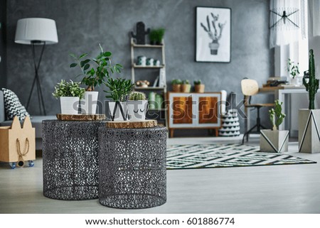 Stylish flat apartment with plants decoration
