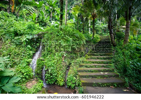 Old stone stairs in the jungle with a waterfall, lush tropical greenery, Bali Indonesia