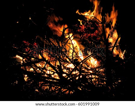 forest fire on black background
