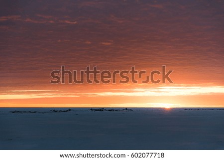 winter landscape - sunset in the snow field