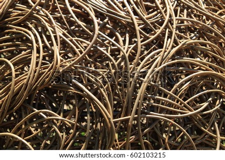 Tangled brushwoods texture. Twigs closeup. Intertwined
brown vines