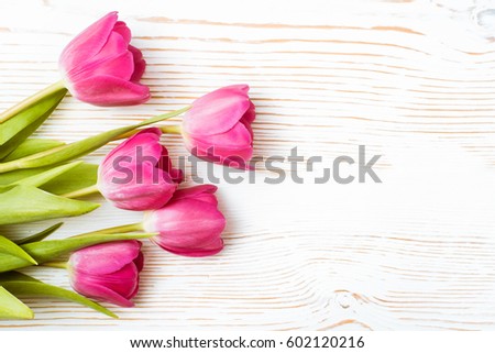 Bouquet of fresh pink tulips on a white wooden background. Top view. Flat composition