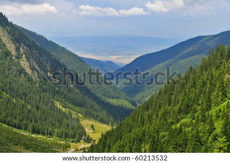 Mountain valley passage with green forests