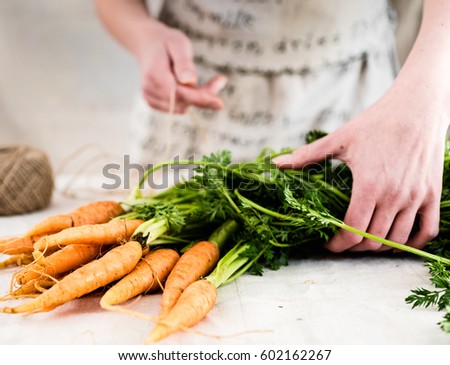 Woman holding a bunch of freshly harvested organic carrots and binding them to a bundle with rope. Rustic picture. 