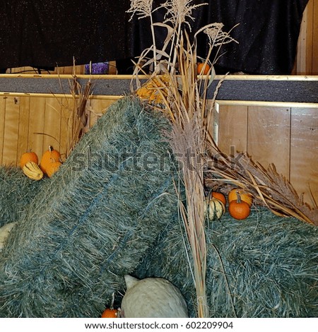Hay bales, pumpkins, and squash decorate a stage for a harvest festival music show in Central Oregon on a fall day.