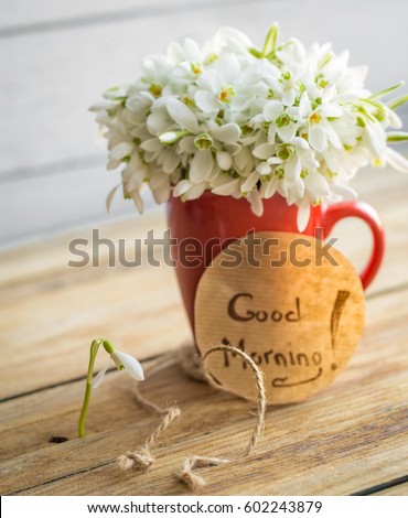 Beautiful delicate snowdrops in a red Cup, and the words good morning on a round piece of paper lies on a wooden background concept of spring and flowers
