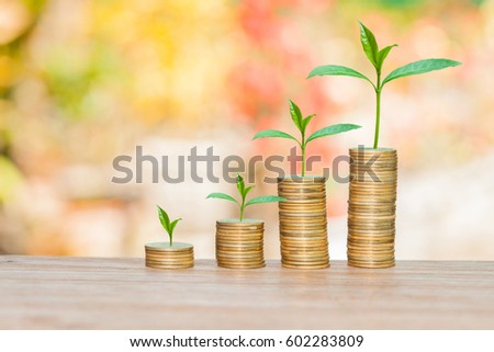 coin stack on wood background 

