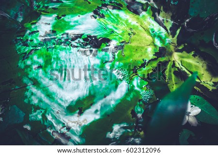 Green lotus leaves in clear water, green color tone 2