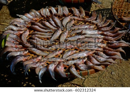 dried Sheatfishes on wicker basket, concept of food preservation