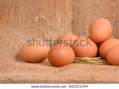 Chicken Egg , egg on a brown sackcloth