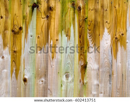 Beautiful strange shapes.Wet wooden paneled, slatted garden fence detail showing grain etc. 