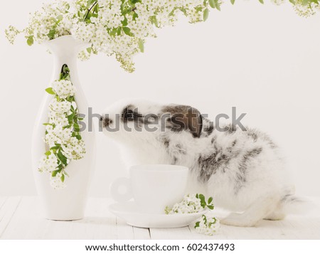 little rabbit with spring flowers