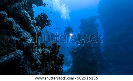 Underwater diver in deep sea dive Royalty-Free Stock Photo #602516156