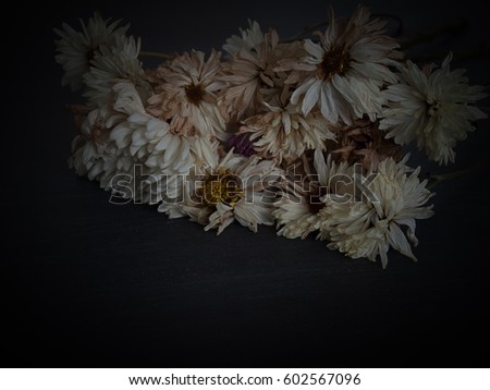 Dried Flowers On a black background.  texture for creative wallpaper or design art work. (vintage)