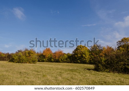 colorful autumn landscape with blue sky