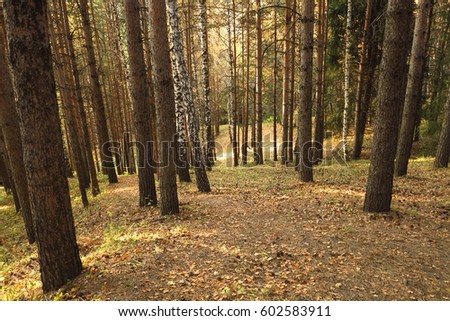 Autumn in the mountains of Kazakhstan