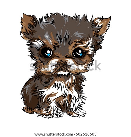 Cute dog, yorkshire terrier
