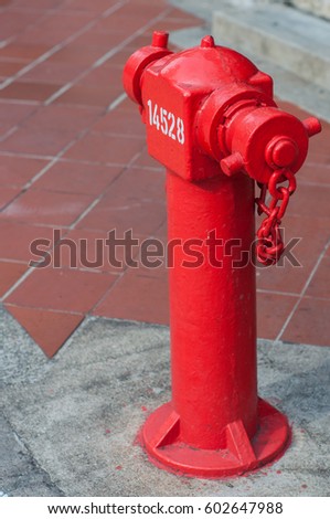 A red fire hydrant at the roadside
