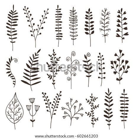 Hand drawn leaves, herbs and branches vector set, botanical collection isolated on white background