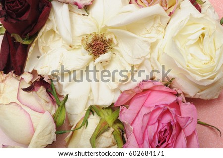 Flay lay. Pink table bouquet roses. Female desktop. 