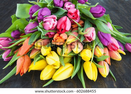 Fresh tulips in bright colors on dark wooden background