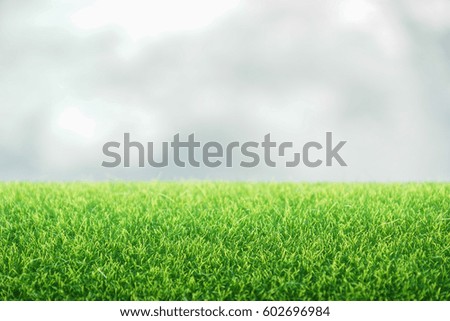 Green turf with blurred Rain clouds as background and frame