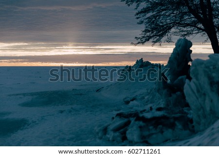 Winter tree with sun rays
