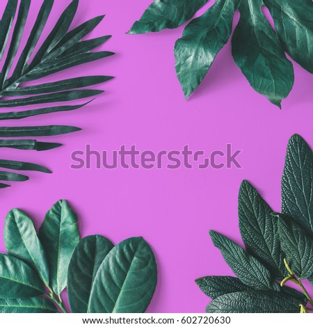 Creative minimal arrangement of leaves on bright white background. Flat lay. Nature concept.