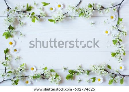 White wooden background with spring flowering branches of plums, cherries, daisies, space for text greeting