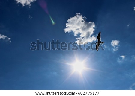 A seagull gliding on a cool summer breeze as the sun shines bright overhead. 