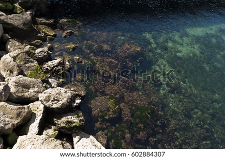 Kangaroo Island Australia, coastal view of  rocks and algae through water
