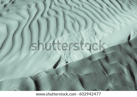 Moon surface color. Desert. Modern and contemporary wallpaper for interior design. Background and Texture