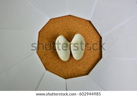 Brown shell and wood texture in focus of paper shutter