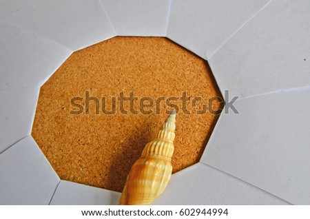 Beautiful conch shell on decagon wood with paper