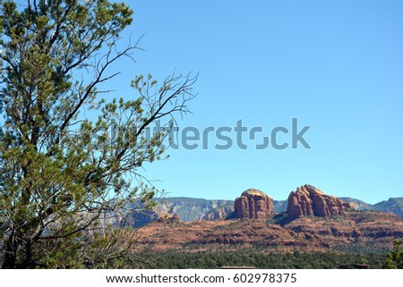 Artistic photo with a pine tree in the foreground and Sedona's famed Cathedral Rock out of focus in the background