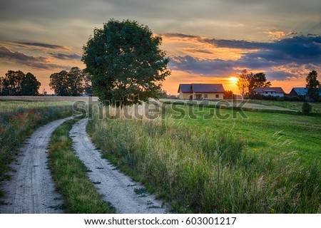Summer landscape with country road and fields of wheat. Masuria, Poland. HDR image Royalty-Free Stock Photo #603001217