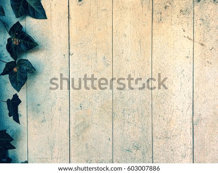 Old Wood.White Wooden Texture.Wooden Background.