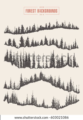 Collection of pine forest backgrounds, vector illustration, hand drawn, sketch