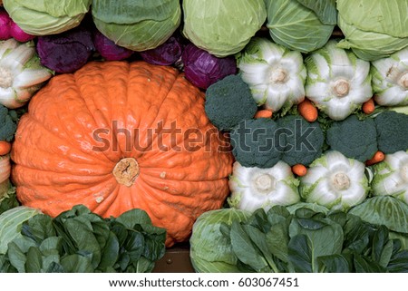 fresh vegetables lined up on each other in layers
