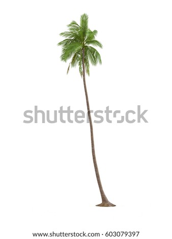 Cocos nucifera isolated on white background. 3D Rendering, Illustration.