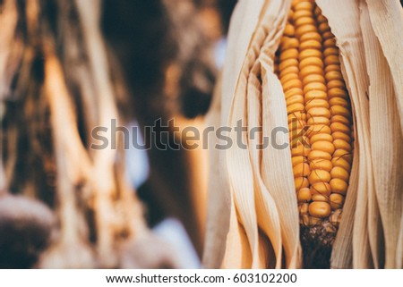 Dried corns