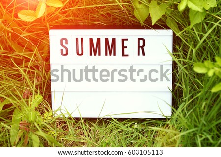 Illuminated board shown the letter summer among the grass background.