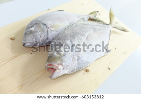 Horse Mackerel Frozen Fish Seafood On Cutter Board