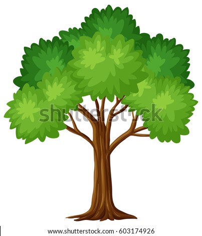 Green tree on white background illustration