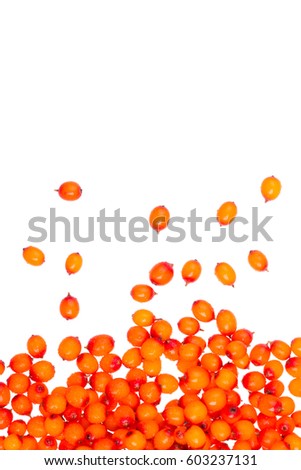 Bunch of fresh juicy sea-buckthorn berries with the water drops, top view. Macro photo of the berries. With place for text. On white background isolated. Royalty-Free Stock Photo #603237131
